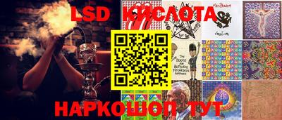 прущие грибы Заволжье